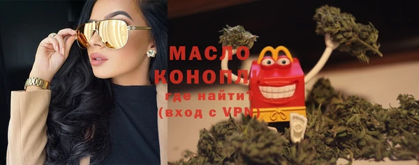 скорость Каменка