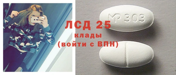 скорость Каменка