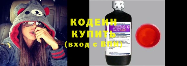 скорость Каменка