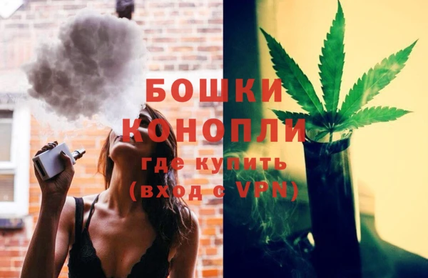 ALPHA PVP Каменногорск