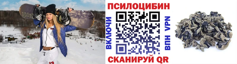 Псилоцибиновые грибы GOLDEN TEACHER  Купить где  Гай 